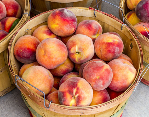 Organic and pesticide free peaches